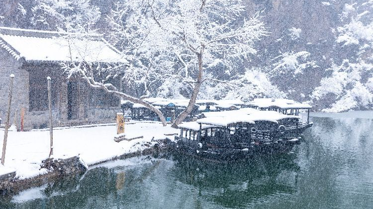 北京下起鹅毛大雪!瑞雪兆丰年,雪落之处,皆是浪漫~ 北京下起鹅毛大雪!瑞雪兆丰年,雪落之处,皆是浪漫~