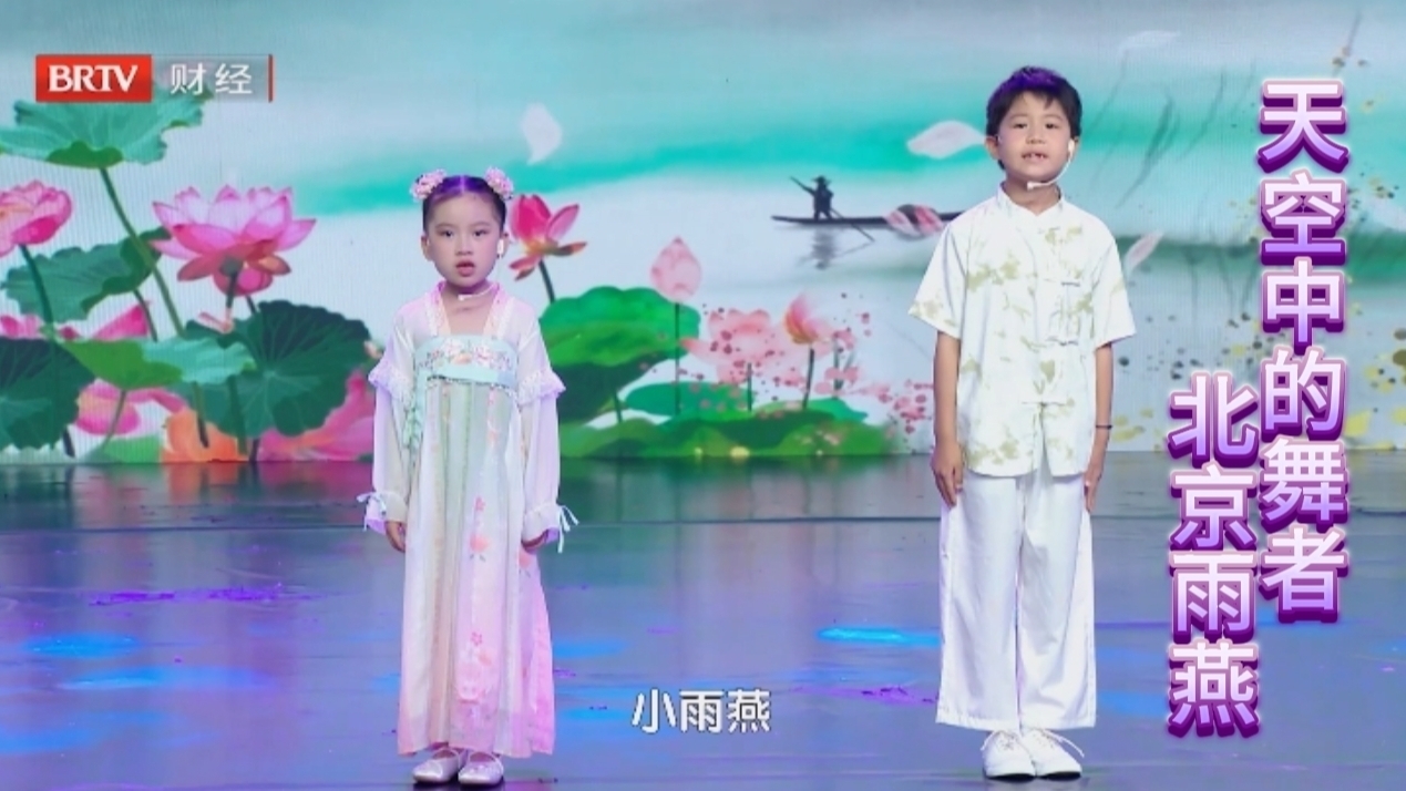 《北京雨燕》：天空中的舞者