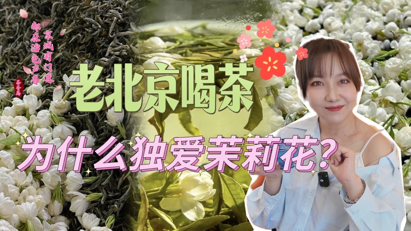 京城有门道•北京人为什么爱喝茉莉花茶