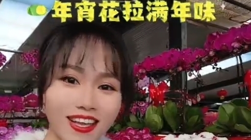 房山繁花集| 来良乡花卉市场邂逅缤纷年宵花 房山繁花集| 来良乡花卉市场邂逅缤纷年宵花