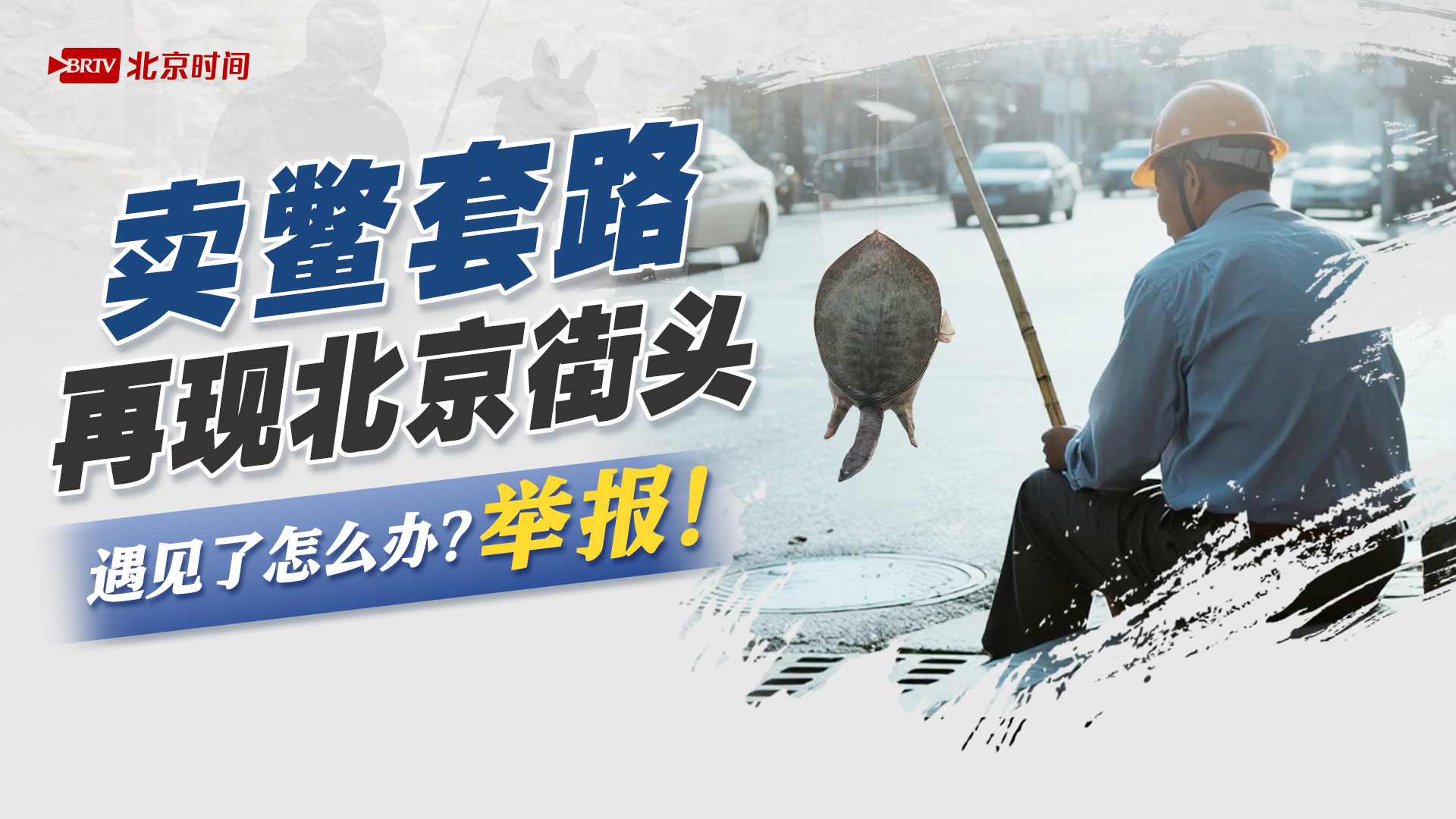 不能买!不能吃!不能放!小心街头“卖鳖”骗术 不能买!不能吃!不能放!小心街头“卖鳖”骗术