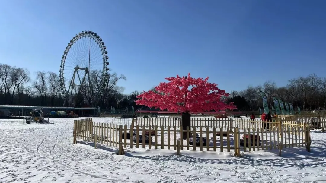 狂欢开启！京城“冬日氛围组”已就位！承包一个冬天的快乐