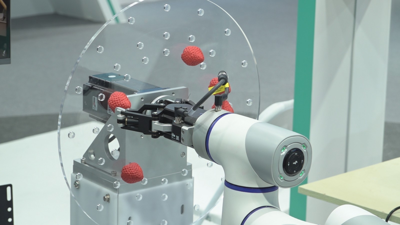 2024北京科技周:多款机器人齐炫技 2024北京科技周:多款机器人齐炫技