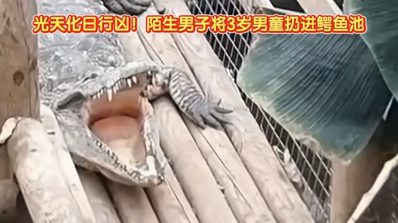 光天化日行凶！陌生男子将3岁男童扔进鳄鱼池