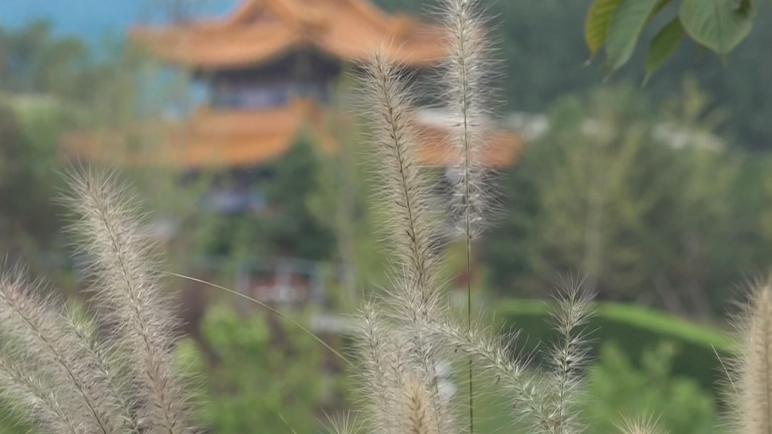 北京发布雷电黄色预警