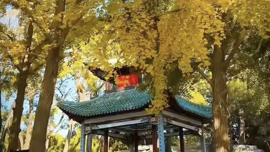 到陶然亭公园赏美丽秋景
