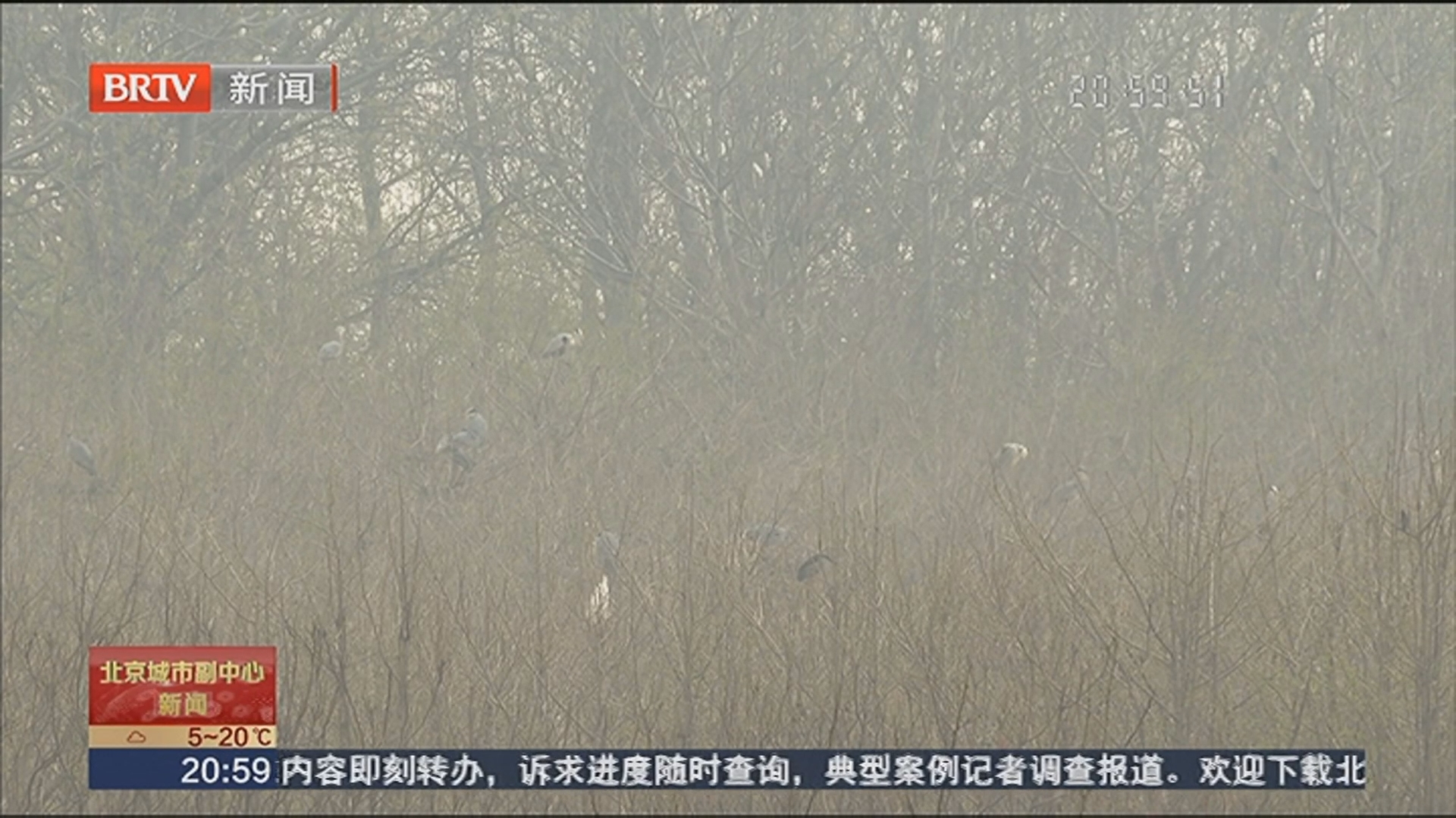 张家湾公园推出生态观鸟路线