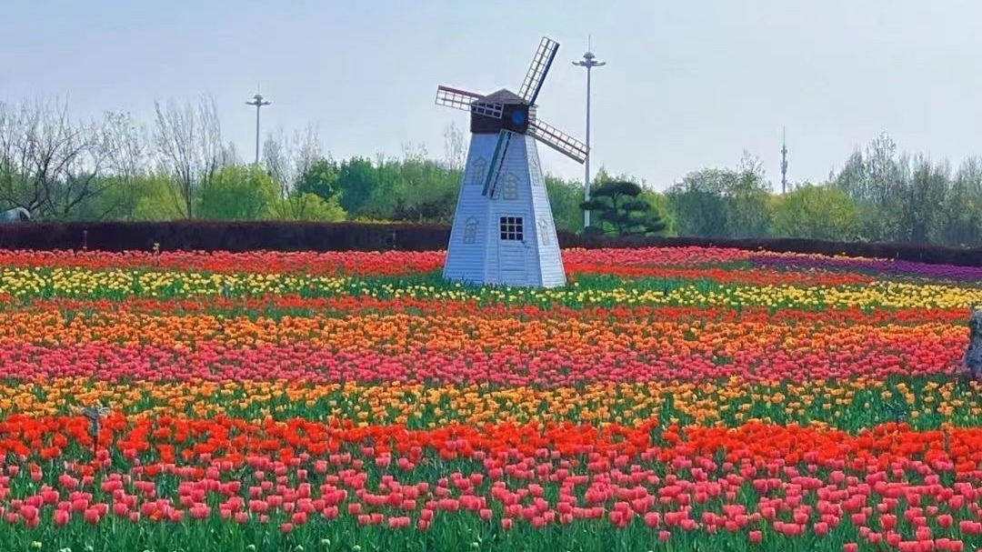 在房山“郁”见春色,邂逅一场莫奈的油画梦境~ 在房山“郁”见春色,邂逅一场莫奈的油画梦境~