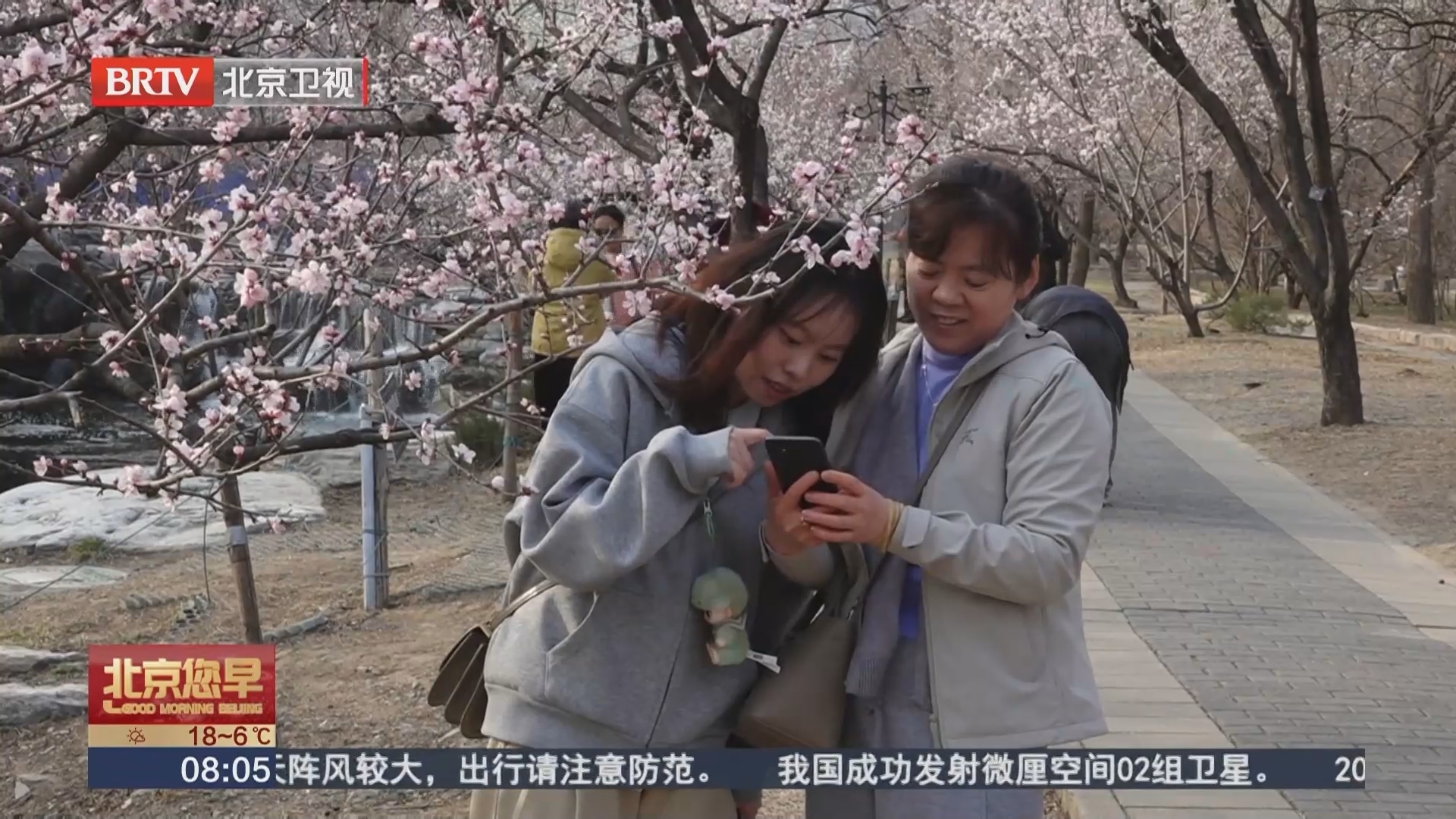 国家植物园开启桃花观赏季暨世界名花展 国家植物园开启桃花观赏季暨世界名花展
