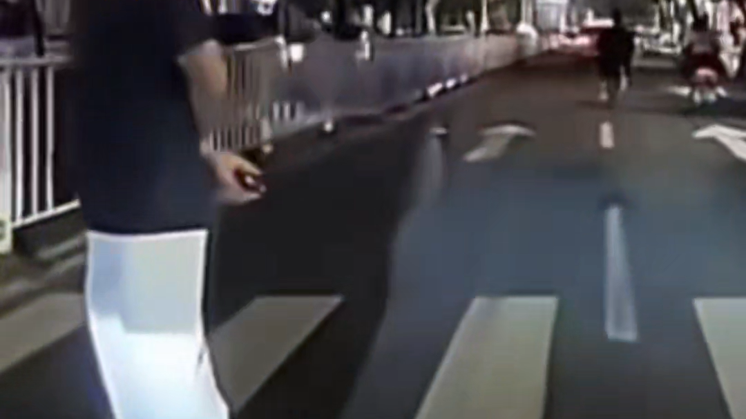 行人在斑马线挡住视频车