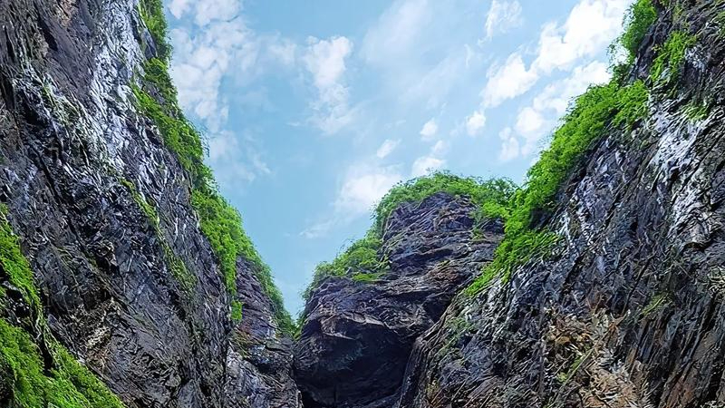 菁彩菁彩