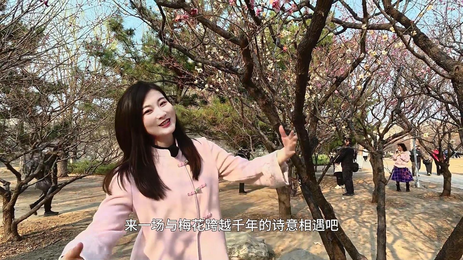 爱我东城——明城梅影 诗韵随行