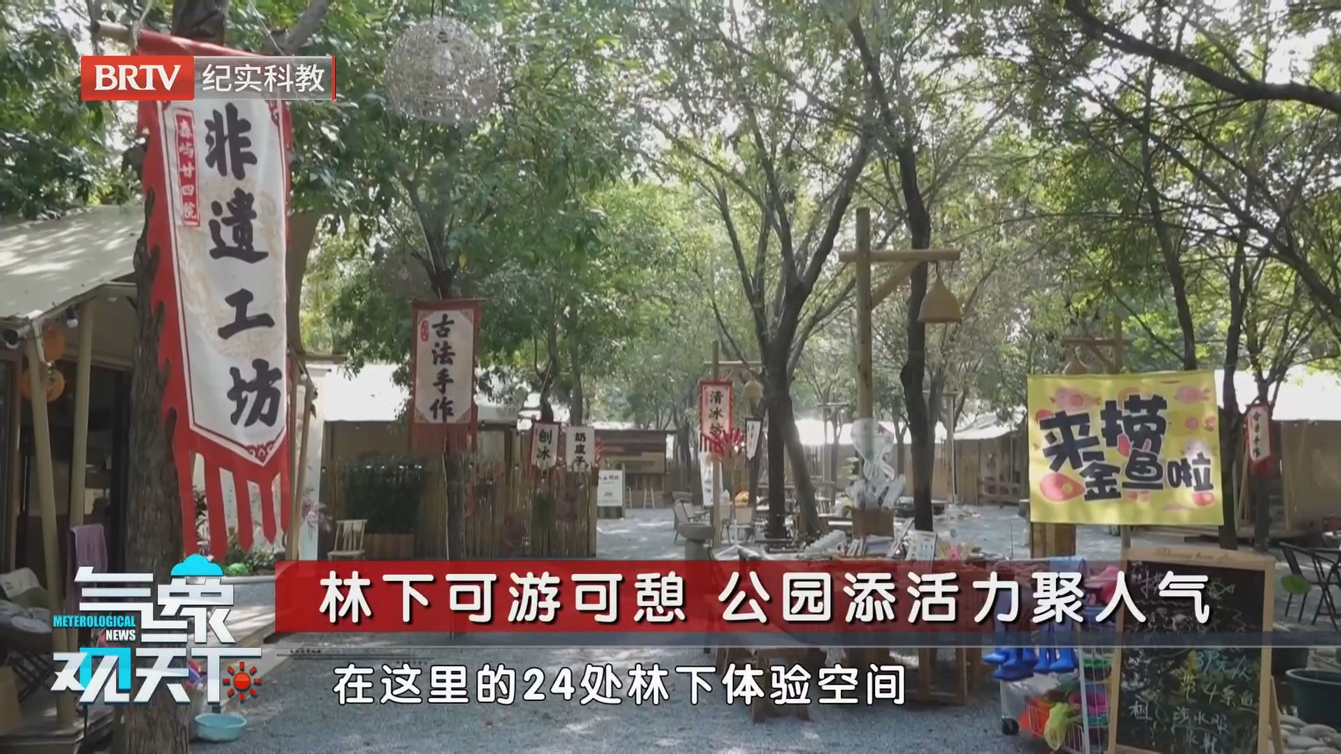 林下可游可憩 公园添活力聚人气