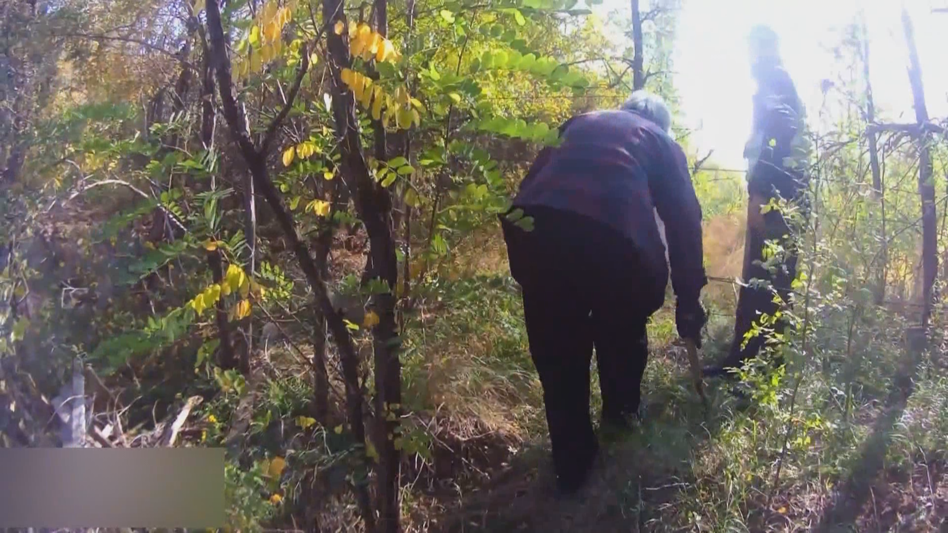 警惕!高速不是“步行道”也不是“采摘区” 警惕!高速不是“步行道”也不是“采摘区”