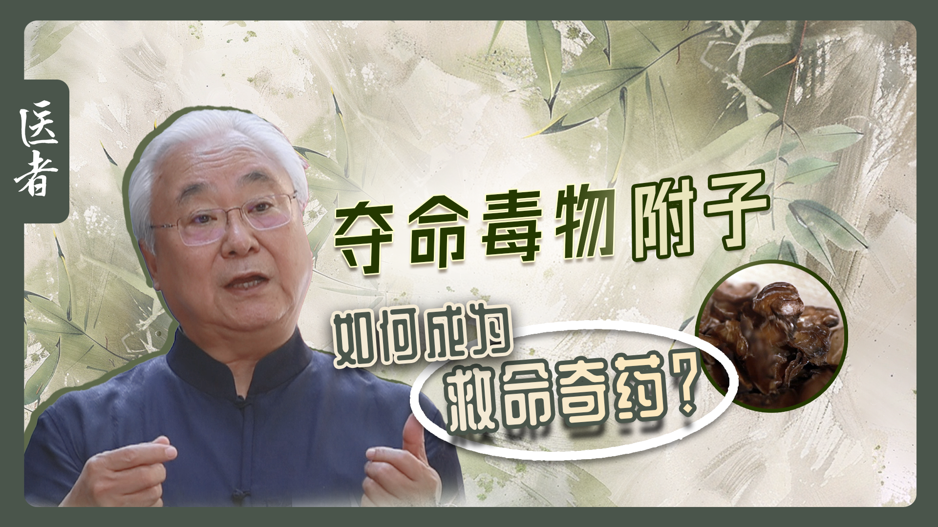 医者｜夺命毒物 附子 如何成为救命奇药？