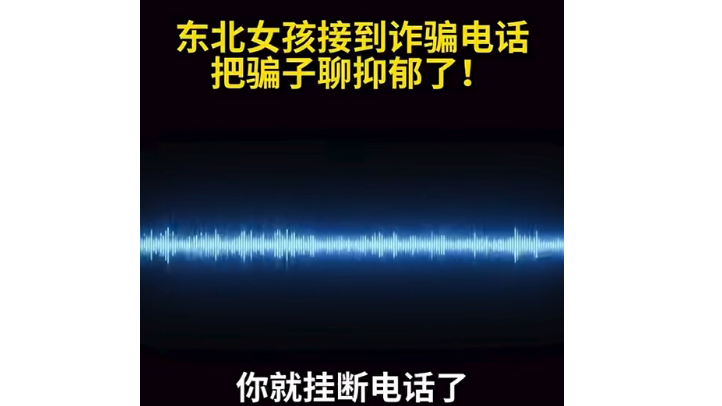 东北女孩接到诈骗电话 把骗子聊抑郁了！