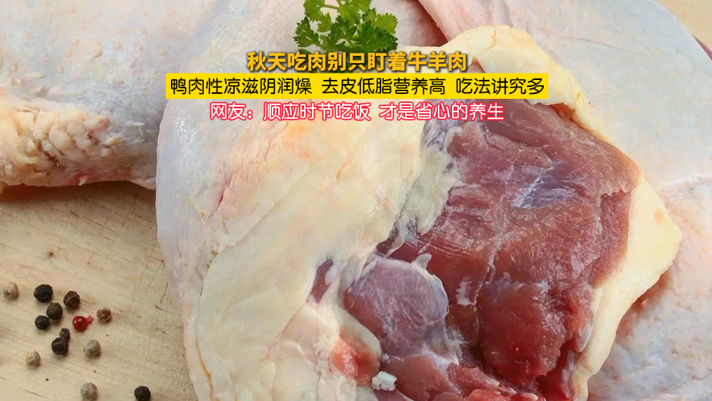 秋天进补吃肉,别光盯着牛羊肉,鸭肉也是很好的选择! 秋天进补吃肉,别光盯着牛羊肉,鸭肉也是很好的选择!
