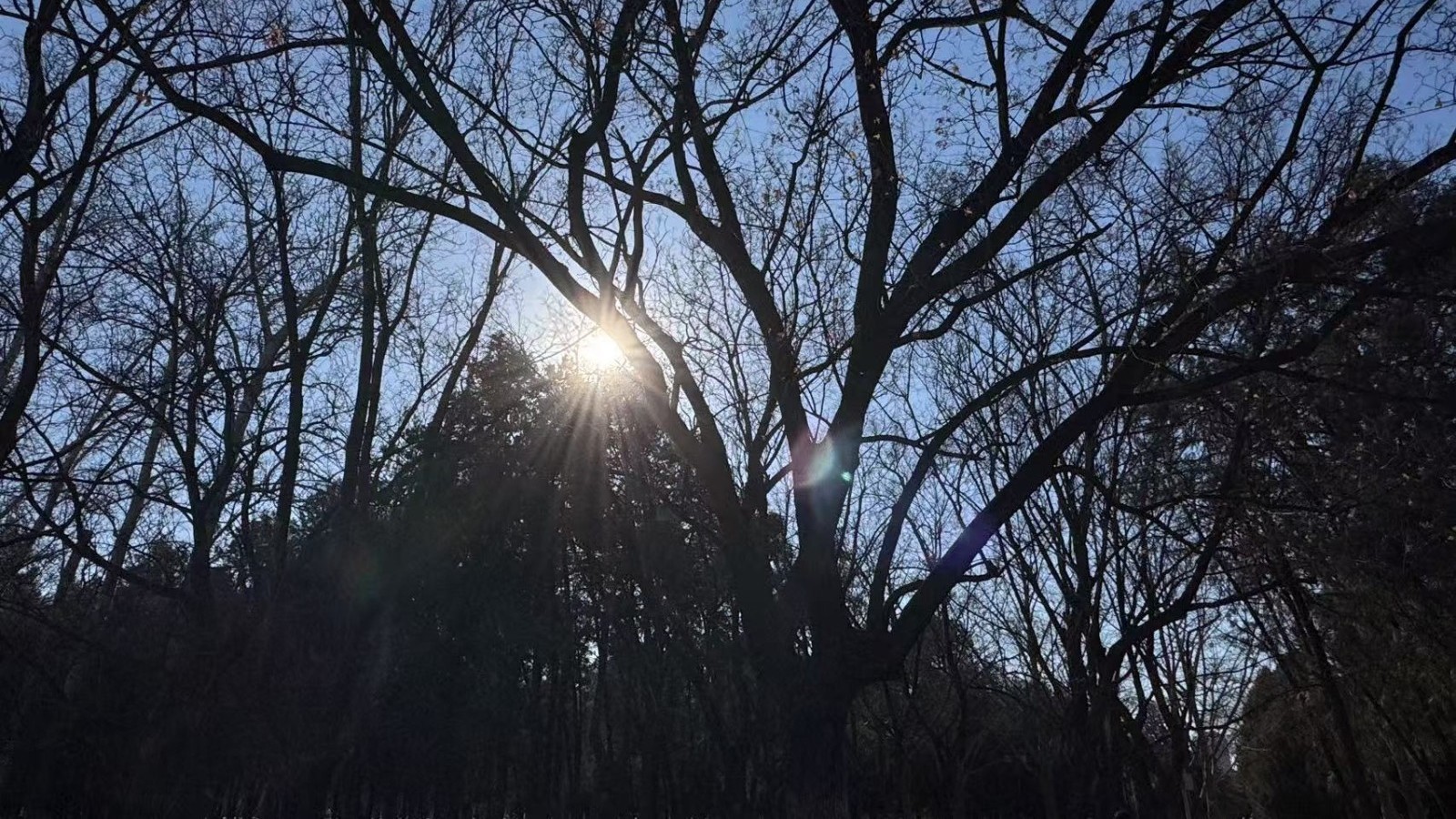 今晨有轻雾 最高气温30℃ 傍晚有阵雨 注意出行安全 今晨有轻雾 最高气温30℃ 傍晚有阵雨 注意出行安全