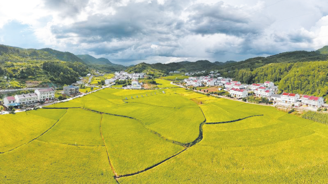 秋分时节,十堰的底色! 秋分时节,十堰的底色!