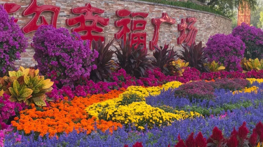 门头沟14000盆鲜花免费认领！领取时间地点——