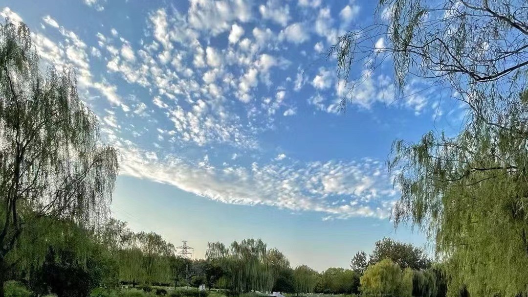 今天白天天空云量逐渐增多，最高气温28℃，明天白天到夜间有降雨天气