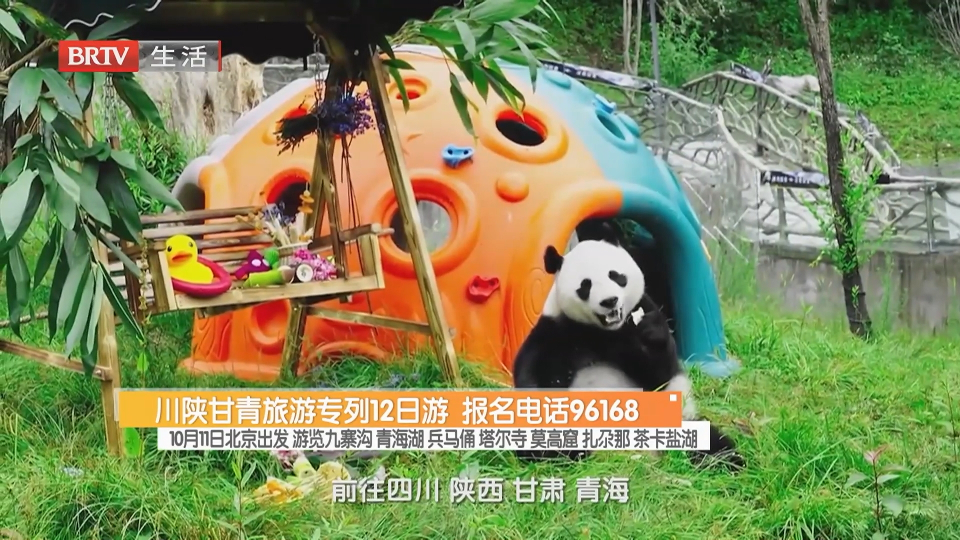 川陕甘青旅游专列12日游 报名电话96168