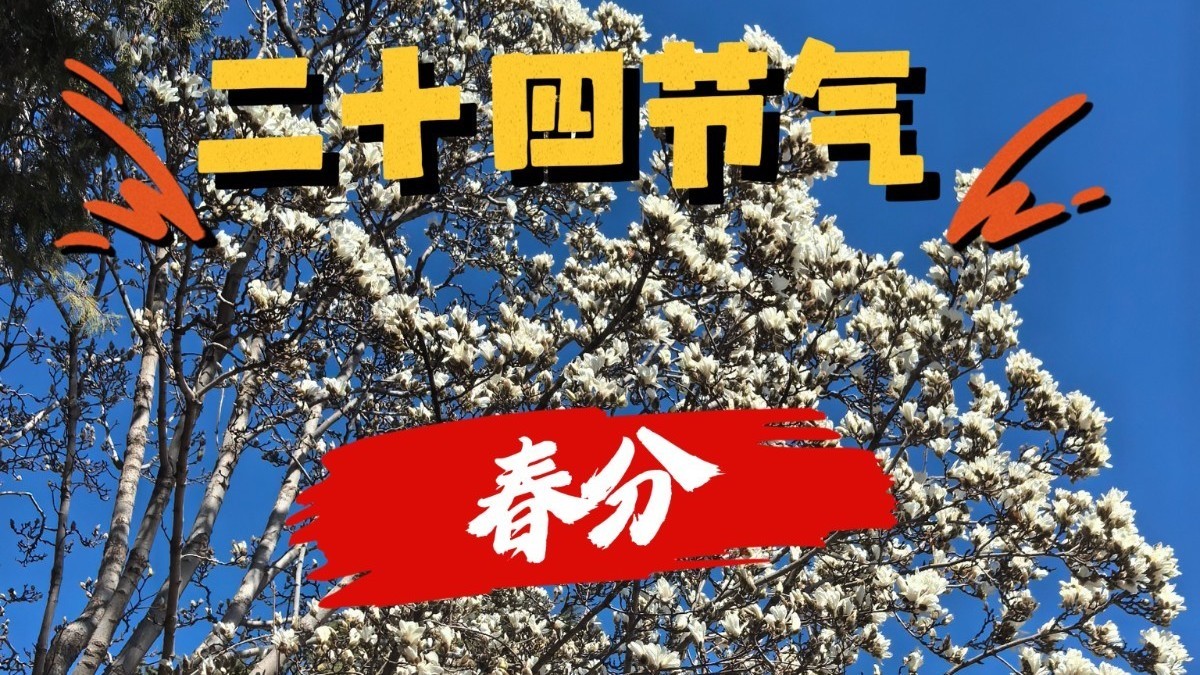 二十四节气之春分(2026.3.20) 二十四节气之春分(2026.3.20)