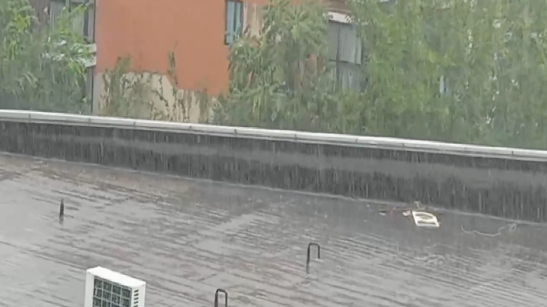 本市发布暴雨蓝色预警 8月3日晚强降雨再度来袭 本市发布暴雨蓝色预警 8月3日晚强降雨再度来袭