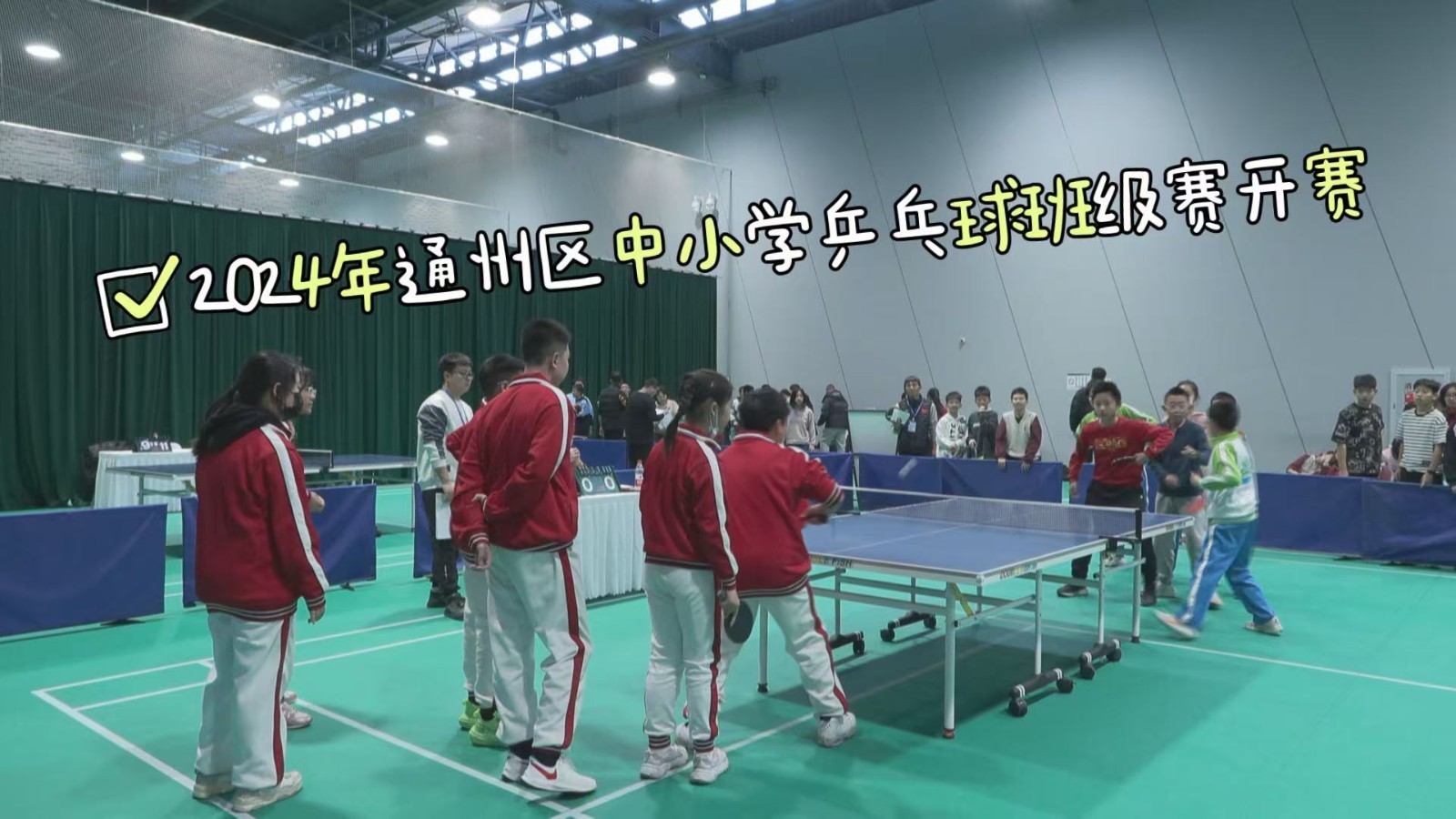 2024年通州区中小学乒乓球班级赛开赛 2024年通州区中小学乒乓球班级赛开赛