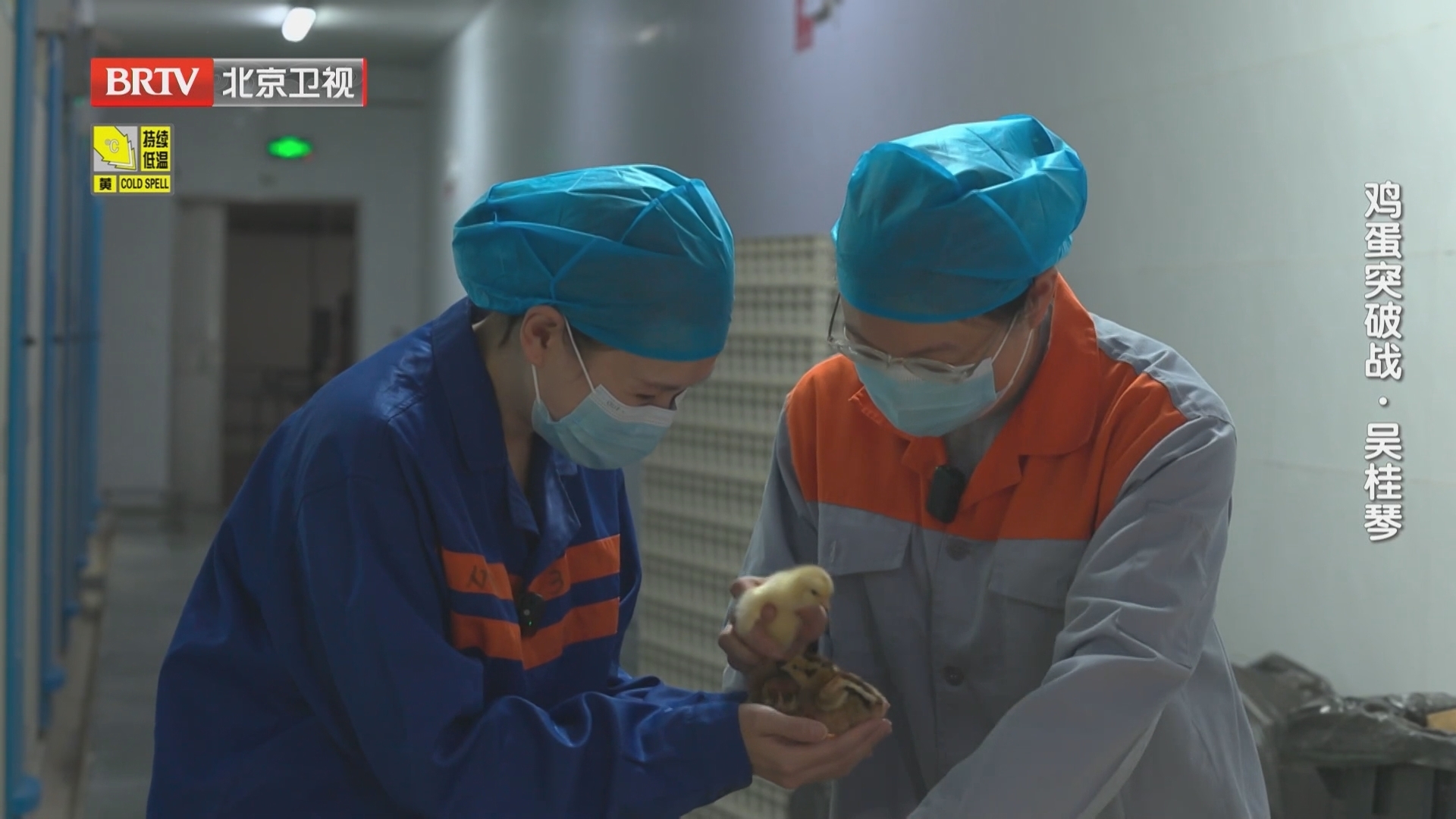 《为你喝彩》20260121鸡蛋突破战·吴桂琴