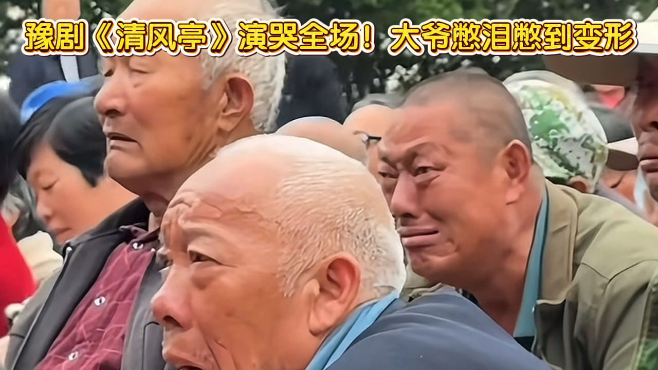 豫剧《清风亭》演哭全场！大爷憋泪憋到变形