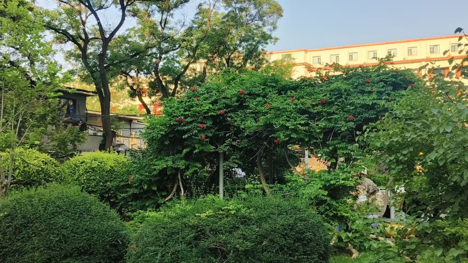 今日最高气温33℃ 夜间到明天中雨伴雷电 今日最高气温33℃ 夜间到明天中雨伴雷电
