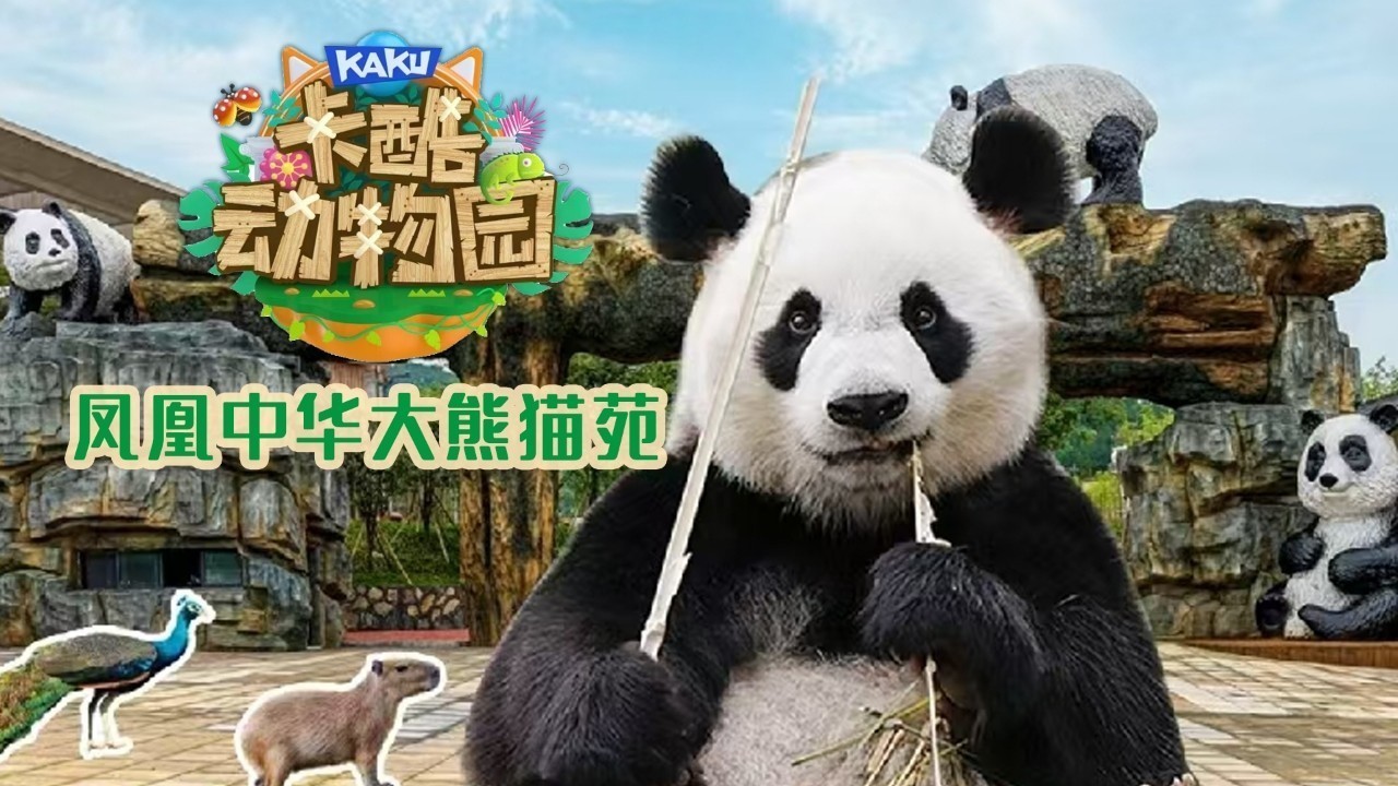 少儿户外动物直播《卡酷动物园》萌萌的“凤凰八小只 ” TA来了