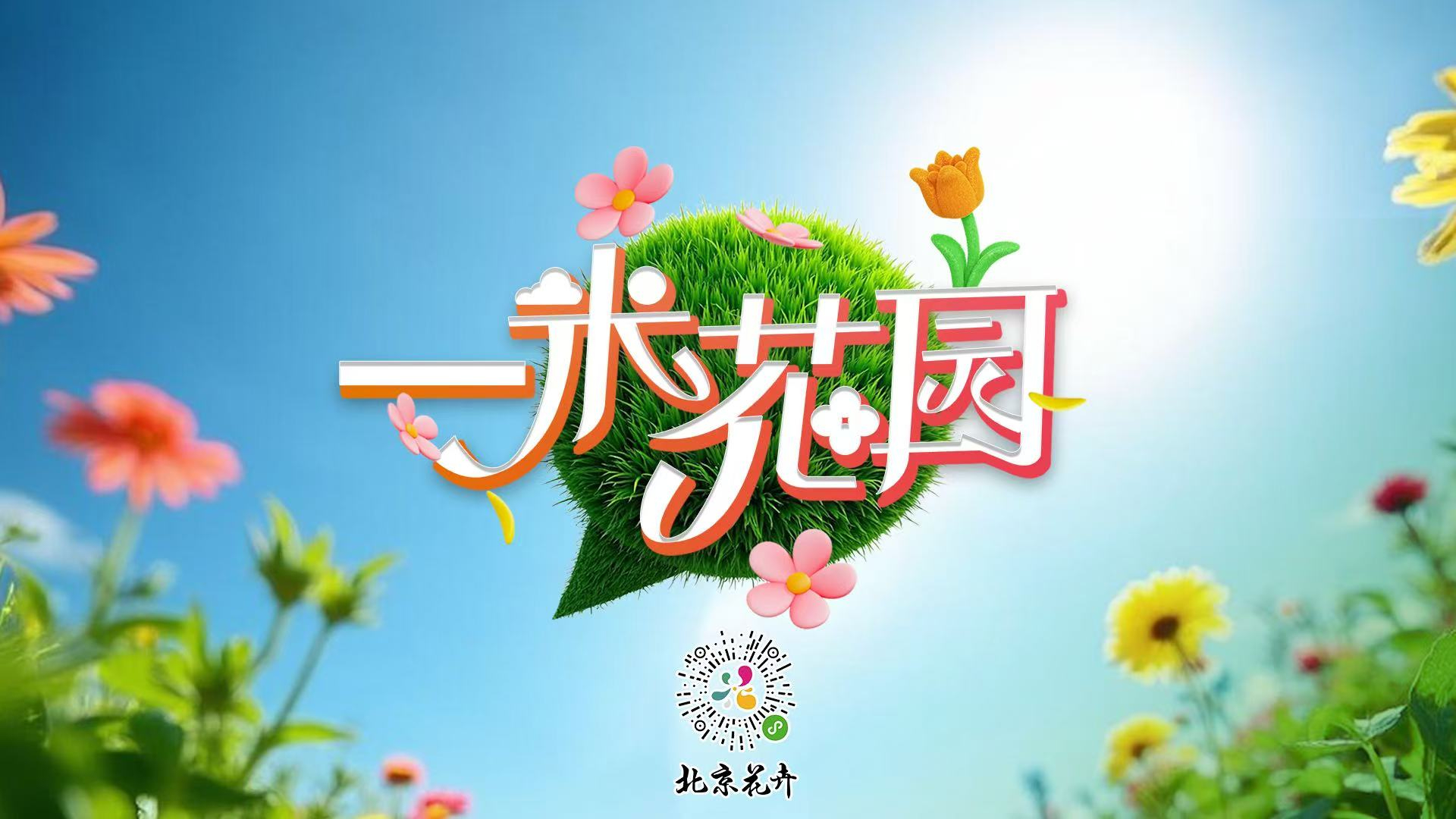 寻草木清欢，探《一米花园》之趣！