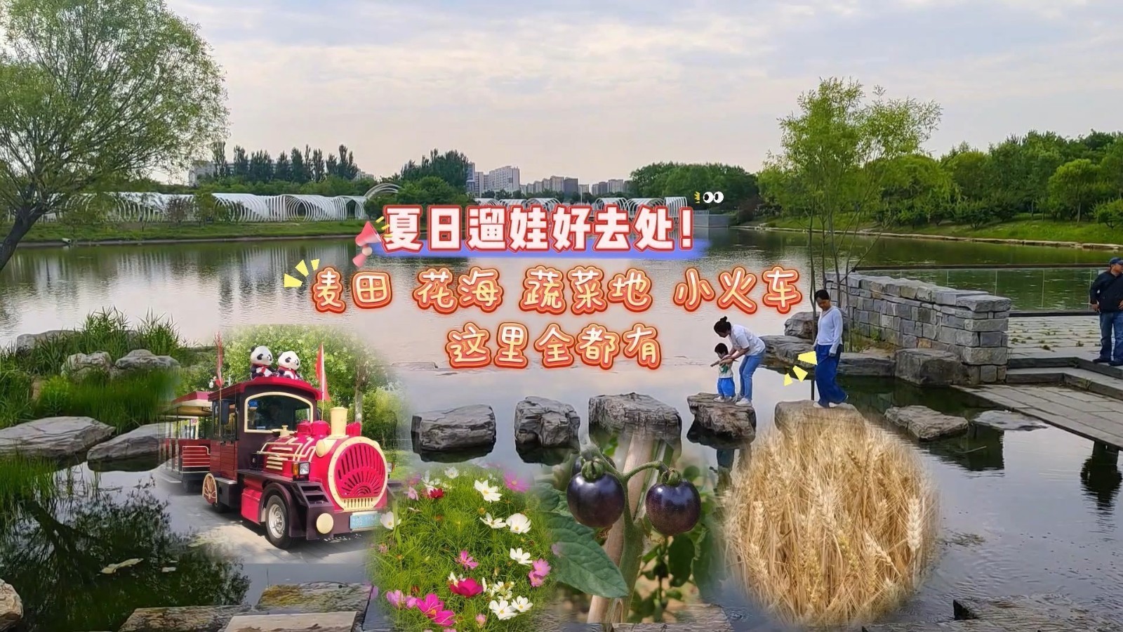北京温榆河公园(故城记忆)步道平缓适合散步游园,园内开满鲜花,大片麦田超好拍 北京温榆河公园(故城记忆)步道平缓适合散步游园,园内开满鲜花,大片麦田超好拍