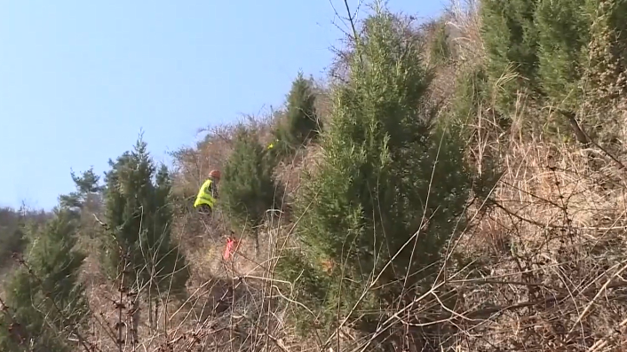 十堰打造“绿化美化经济化”样板 筑牢绿色生态屏障 十堰打造“绿化美化经济化”样板 筑牢绿色生态屏障