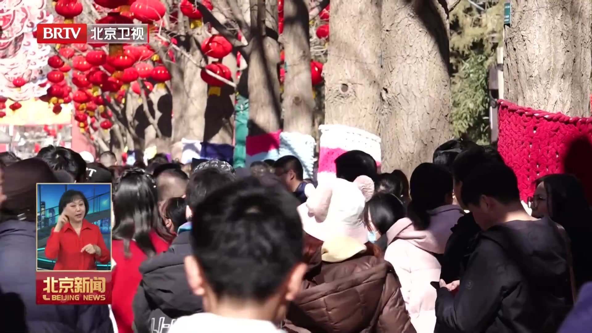 新年，北京这些景点的大树也穿上了“新衣”！