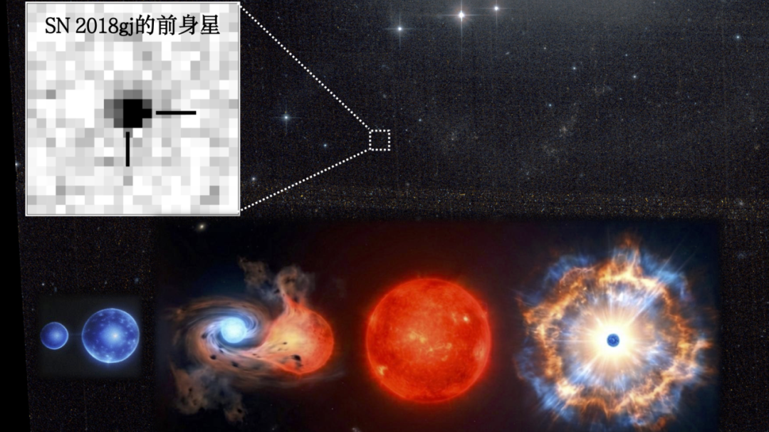 国科大领衔!中外科学家合作首证这一超新星双星起源 国科大领衔!中外科学家合作首证这一超新星双星起源