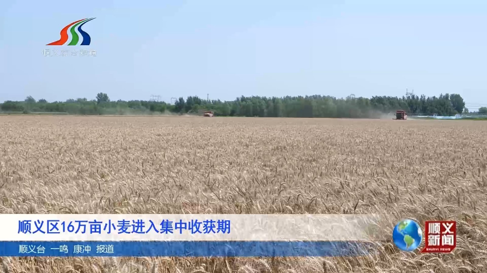 顺义区16万亩小麦进入集中收获期