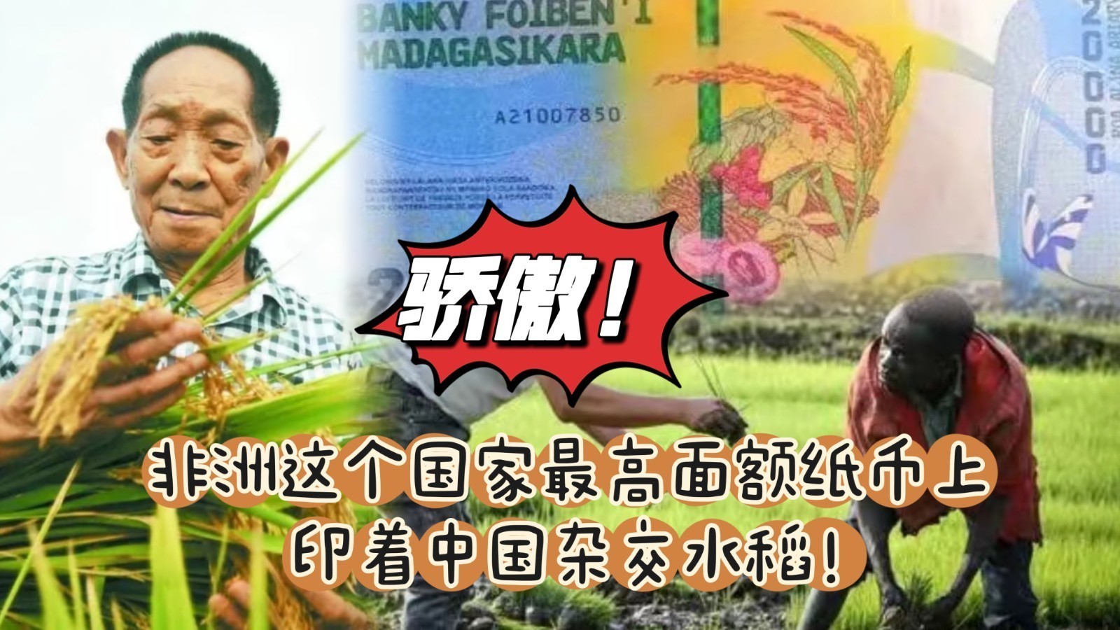 骄傲！非洲这个国家最高面额纸币上，印着中国杂交水稻！