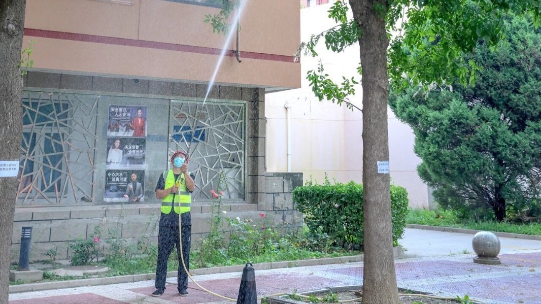 北京的美国白蛾即将进入暴食期