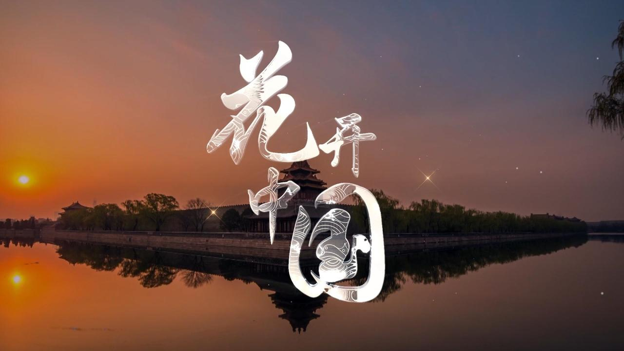 中国女记者唱响《花开中国》，让世界听见花开的声音