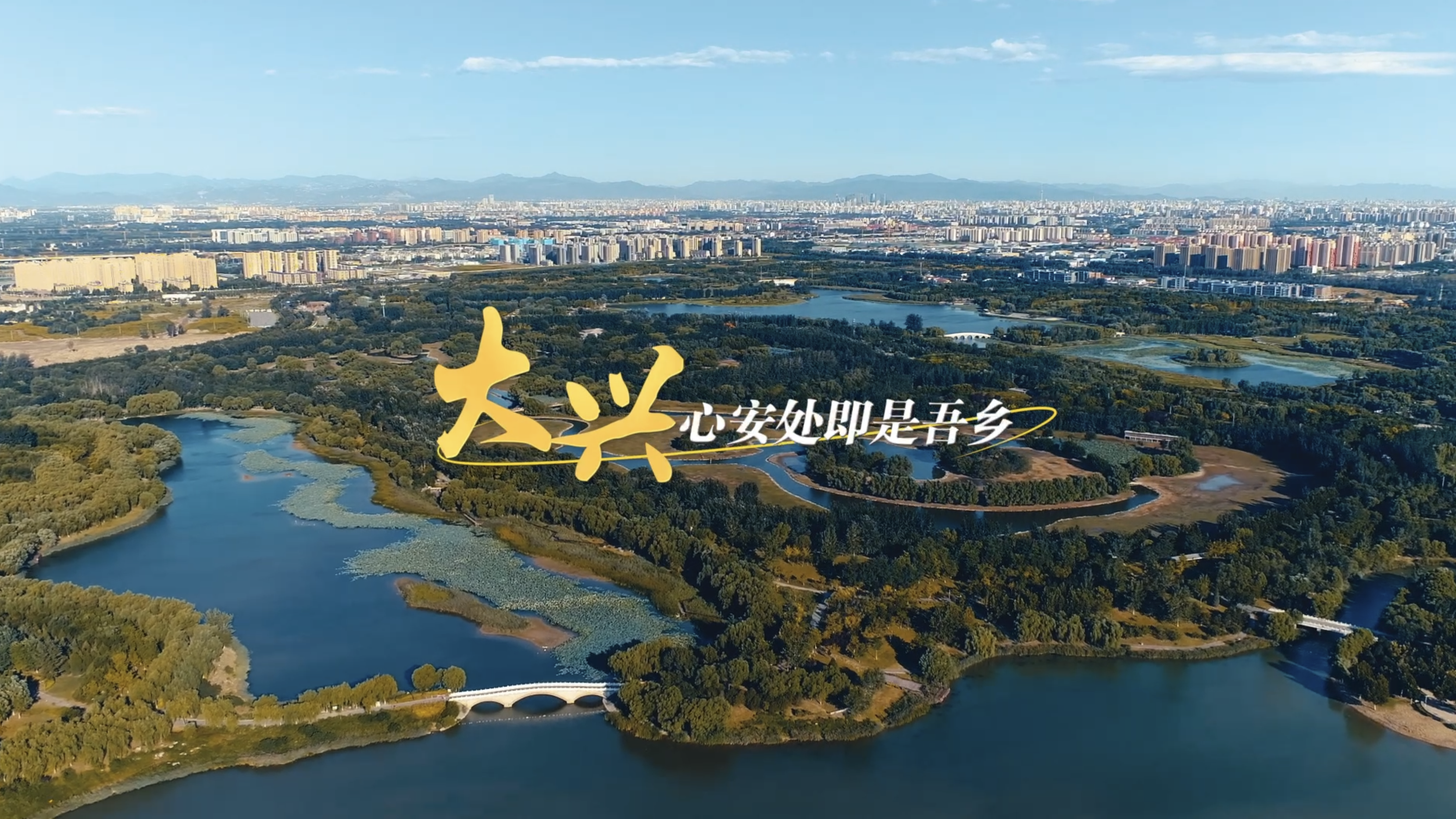在大兴，每寸时光都生长着温暖的答案