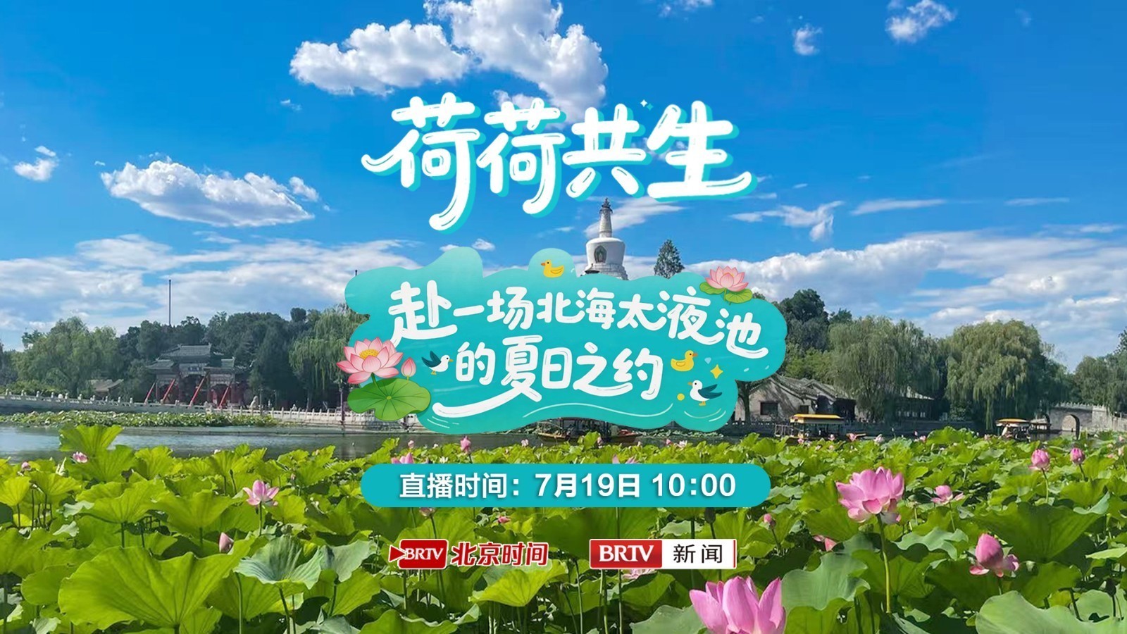 荷荷共生——赴一场北海太液池的夏日之约