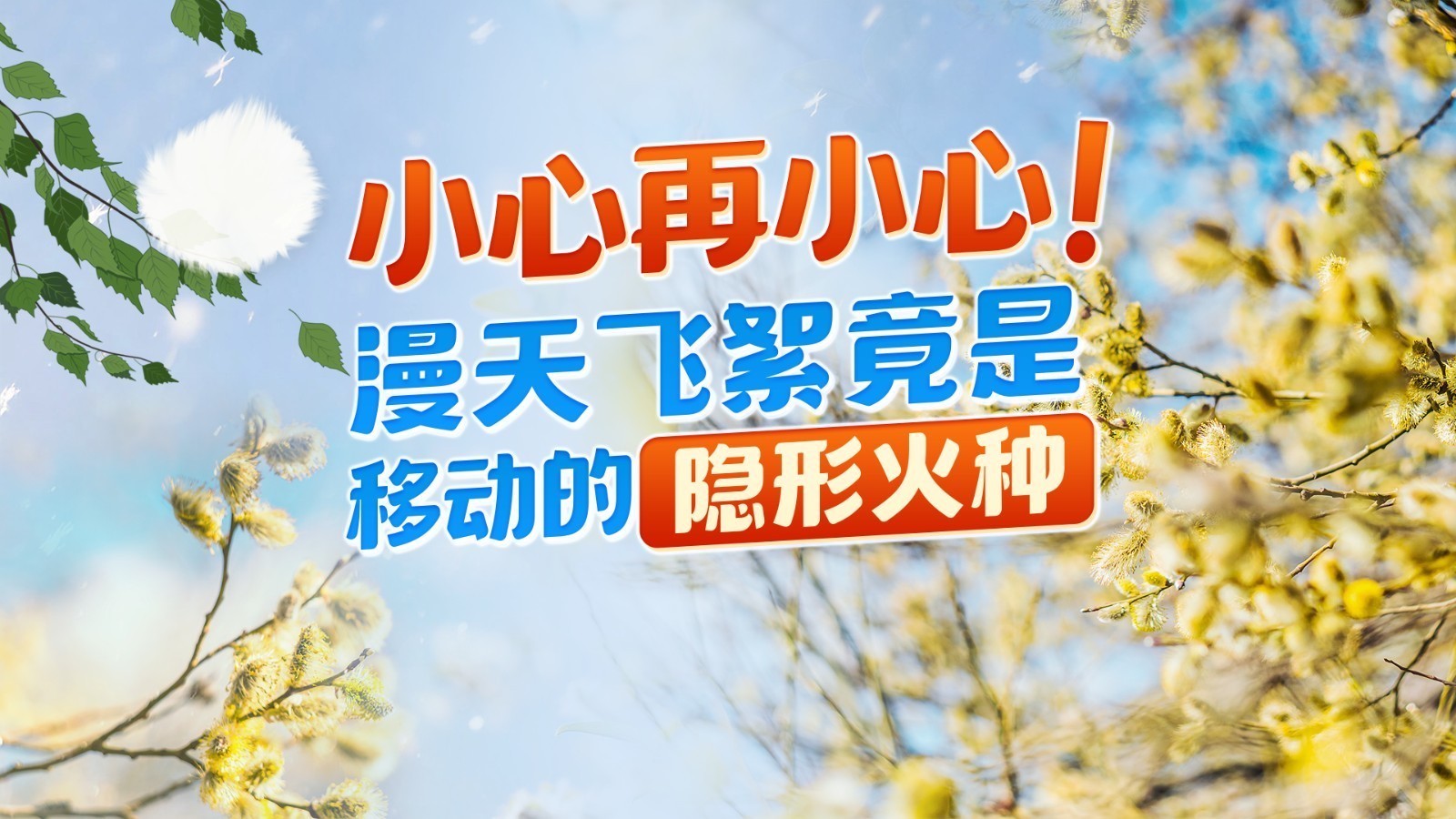 北京漫天飞絮竟然藏有火患！这份消防指南快收好