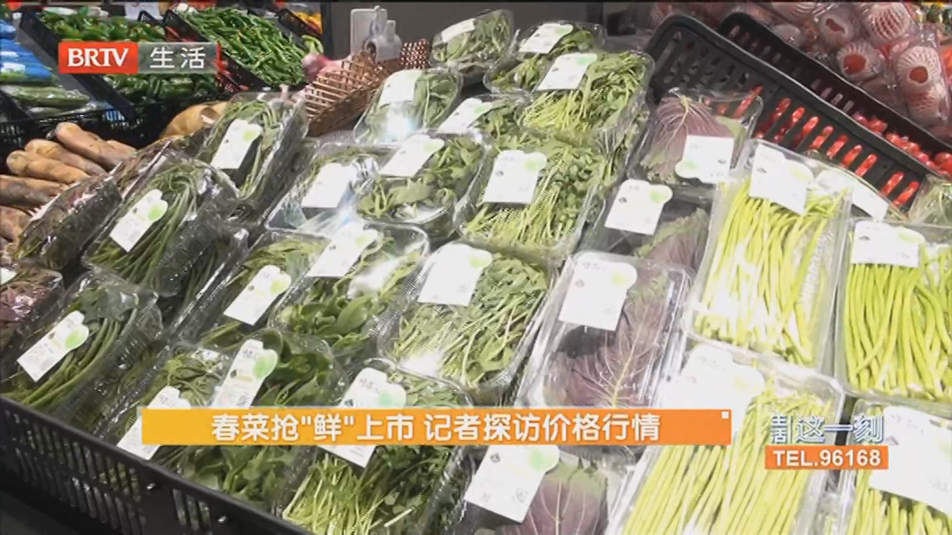 春菜抢“鲜”上市 记者探访价格行情 明日可达13℃左右 下周有两次冷空气活动