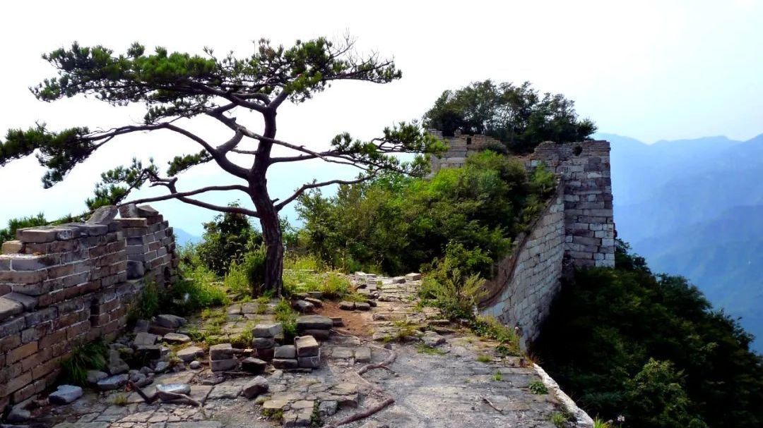 “箭扣长城”山顶上的大花结！