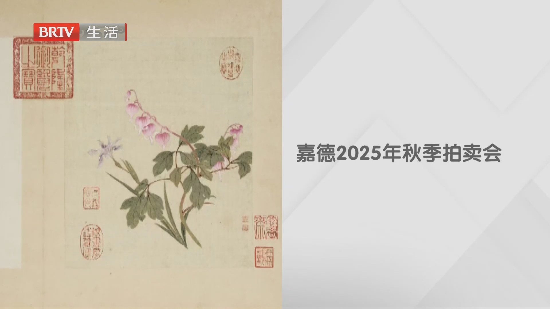 《生活帮帮忙》20261004