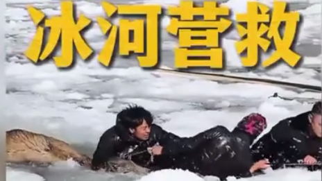 国家一级保护动物白唇鹿被困冰窟 警民携手破冰救援 国家一级保护动物白唇鹿被困冰窟 警民携手破冰救援