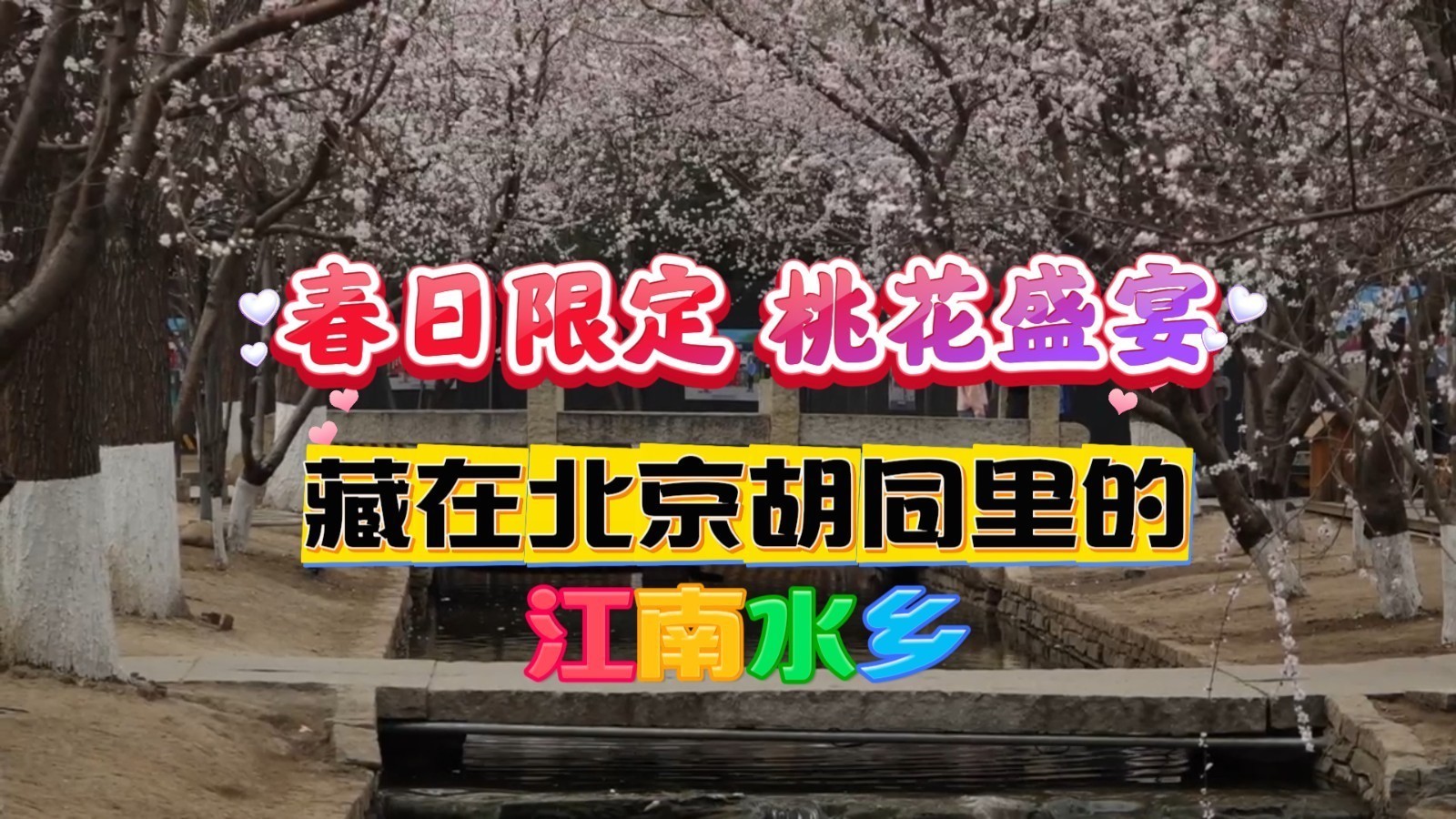 春日限定 桃花盛宴!快来打卡藏在北京胡同里的江南水乡 春日限定 桃花盛宴!快来打卡藏在北京胡同里的江南水乡